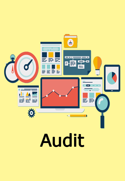 Audit